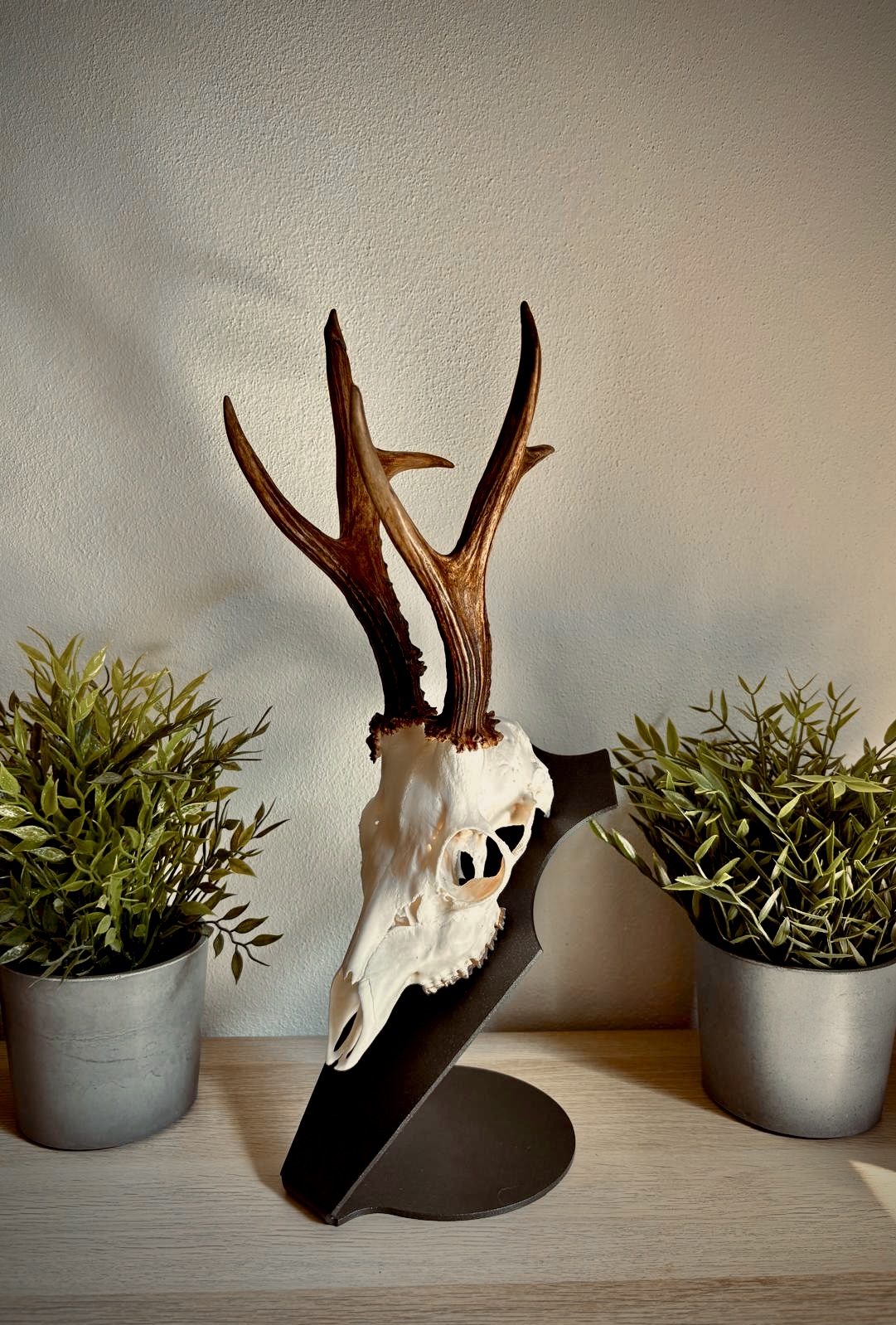 Podložka pro trofej – Srnec - Obrázek 4