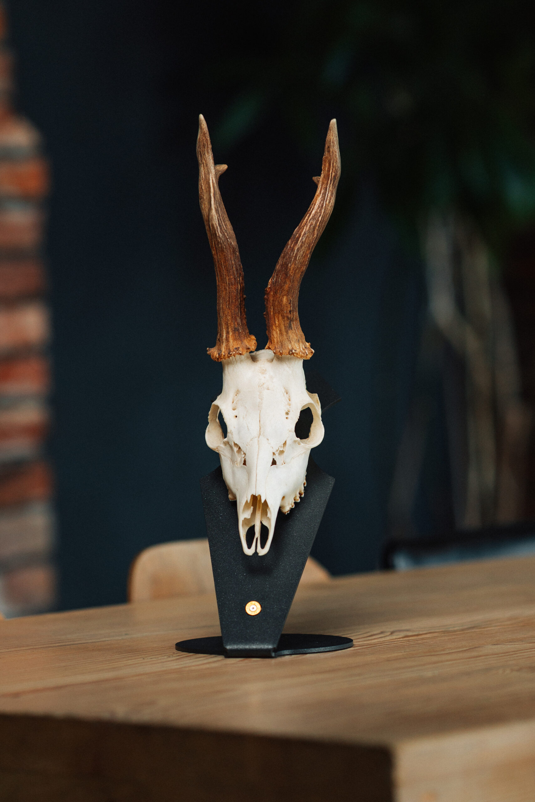 Podložka pro trofej – Srnec s nábojnicí - Obrázek 2