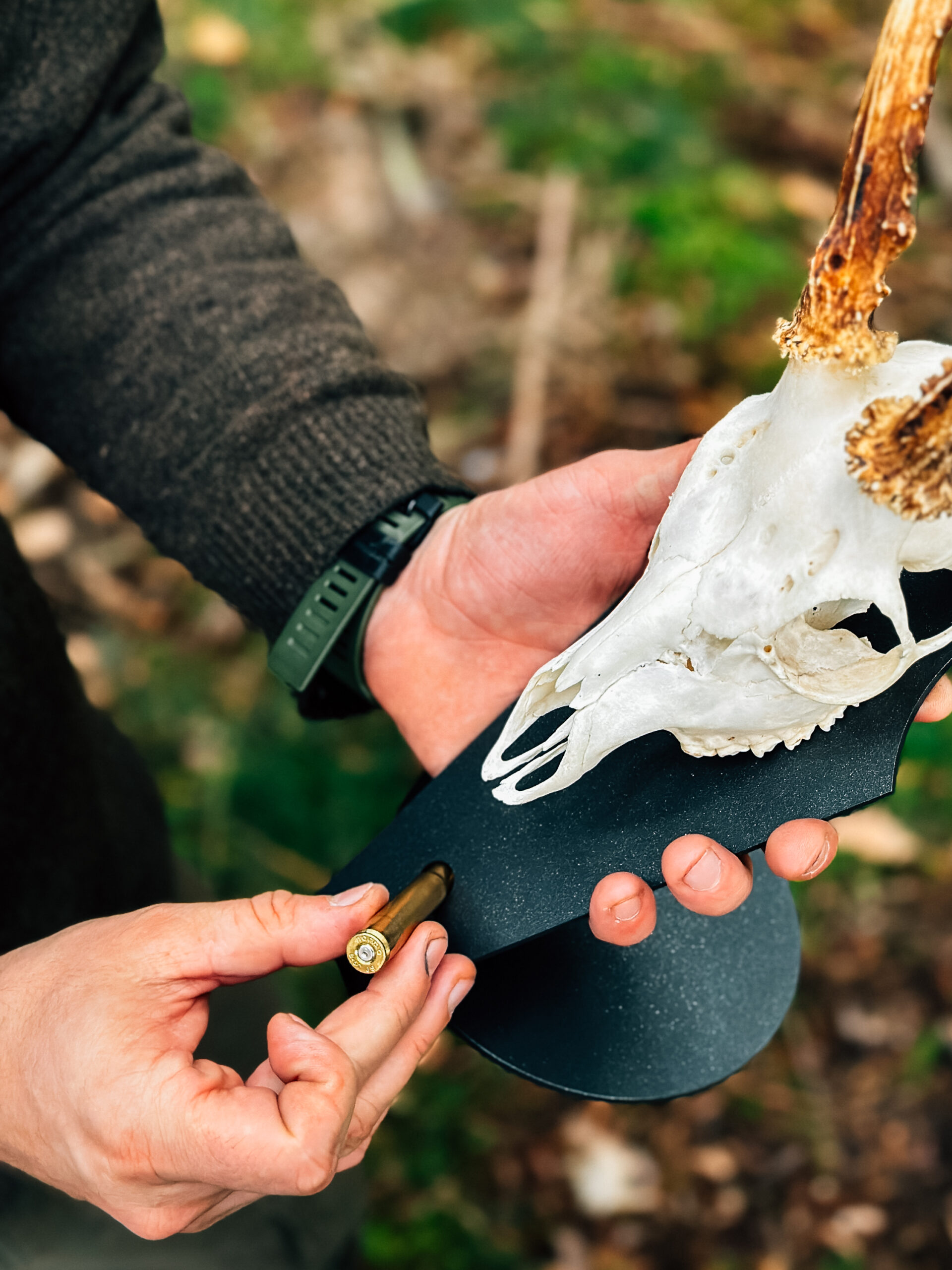 Podložka pro trofej – Srnec s nábojnicí - Obrázek 7