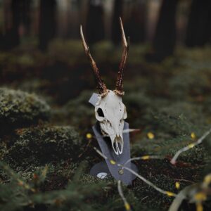 3Pack -Podložka pro trofej – Srnec s nábojnicí