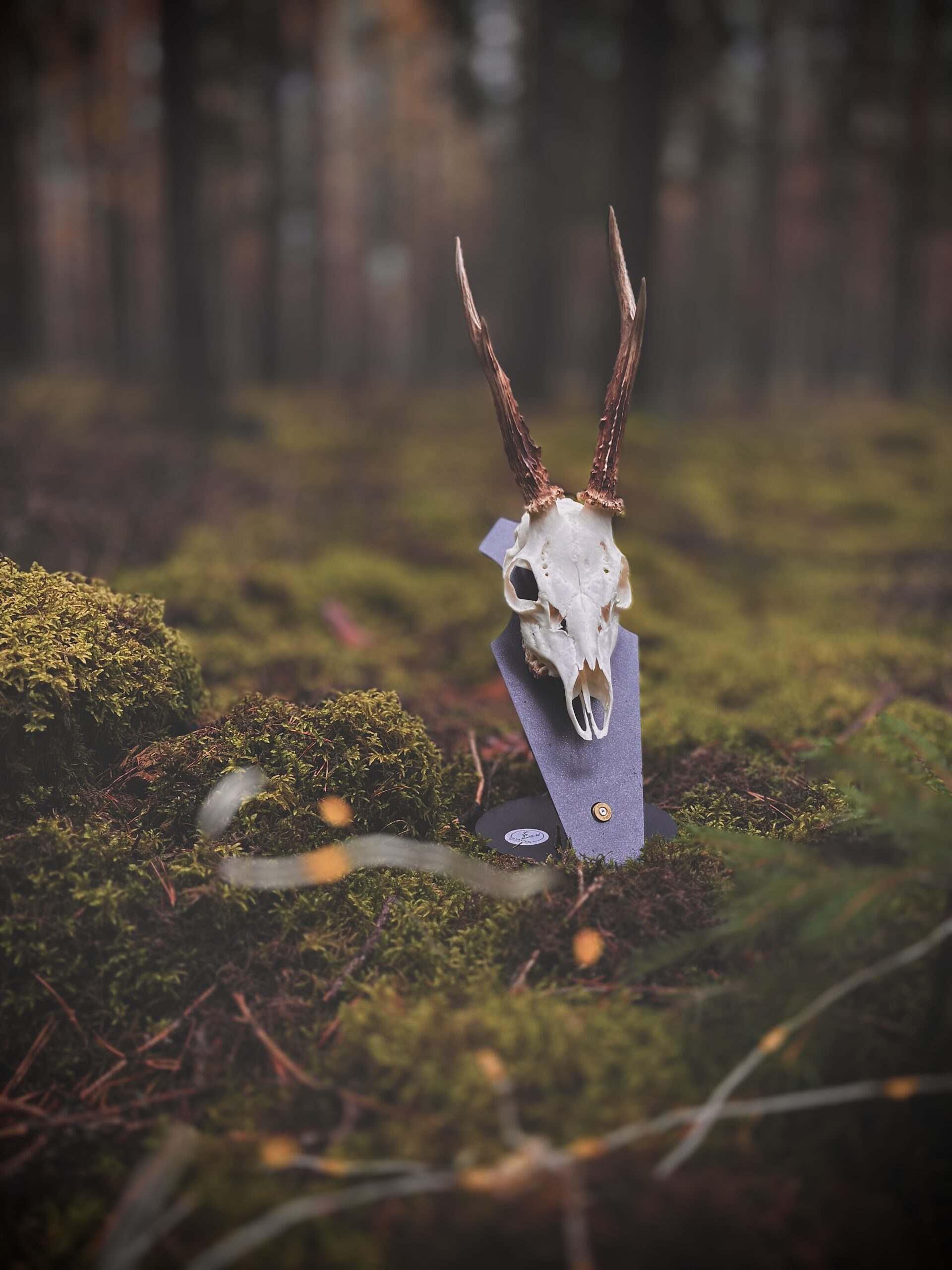 Podložka pro trofej – Srnec s nábojnicí