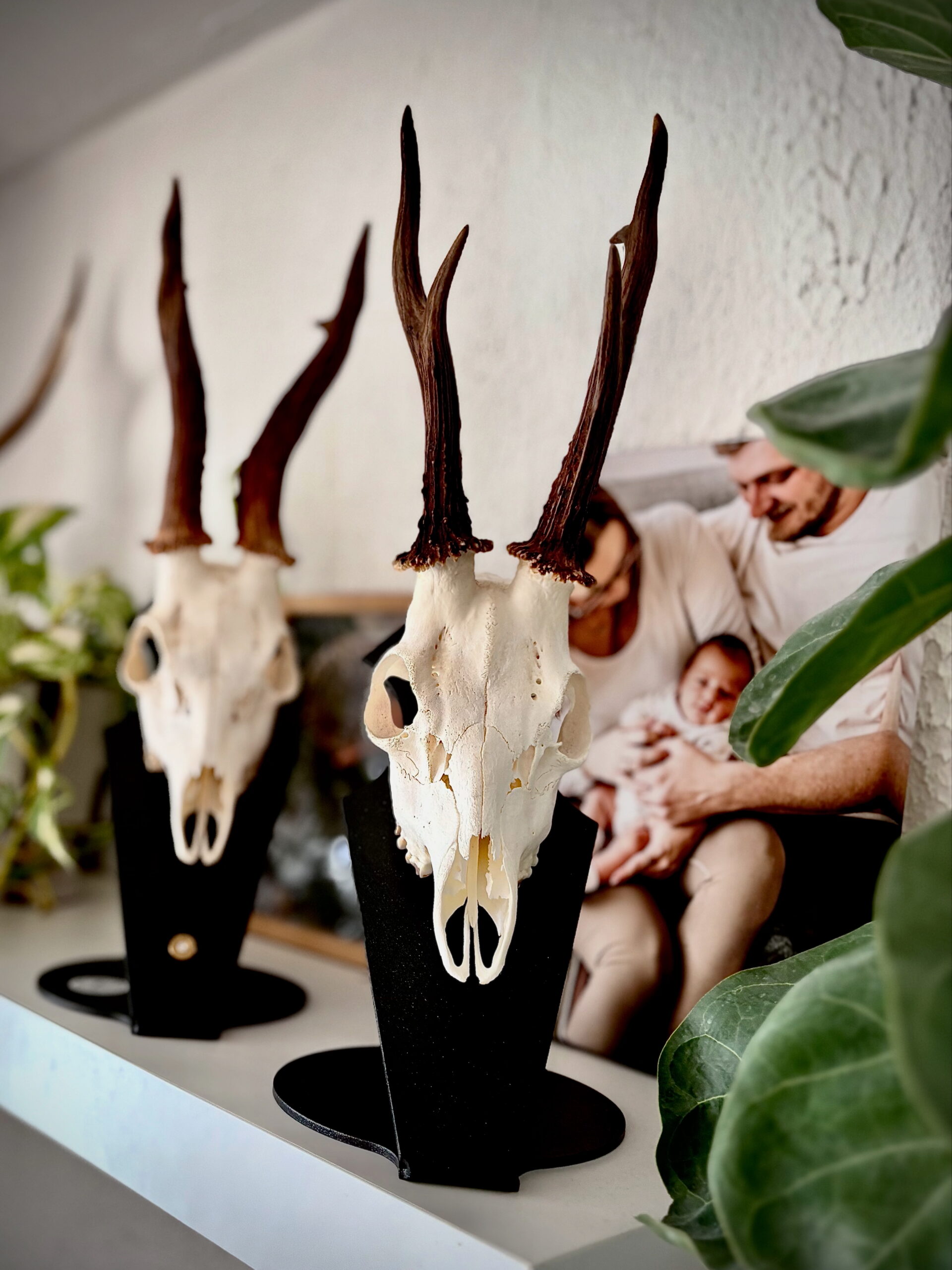 Podložka pro trofej – Srnec s nábojnicí - Obrázek 6