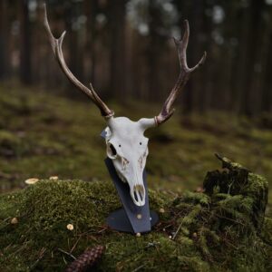Podložka pro trofej – Jelen sika s nábojnicí