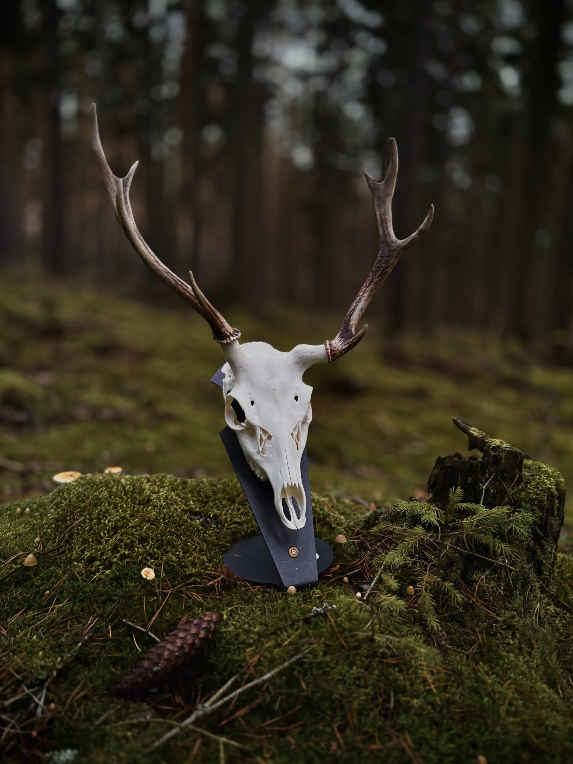 Podložka pro trofej – Jelen sika s nábojnicí