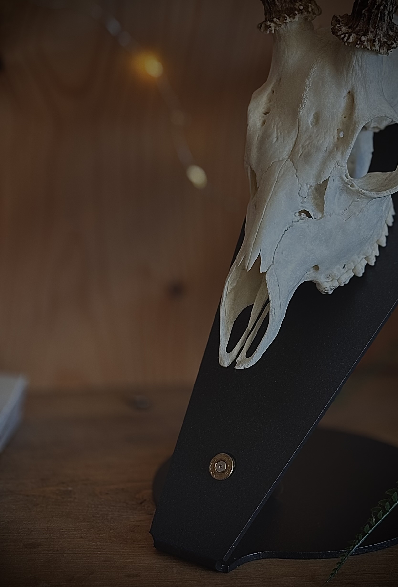 Podložka pro trofej – Srnec s nábojnicí - Obrázek 8