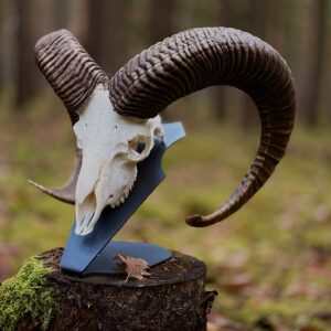 Podložka pro trofej - Muflon / Daněk